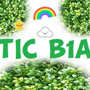 TIC B1A