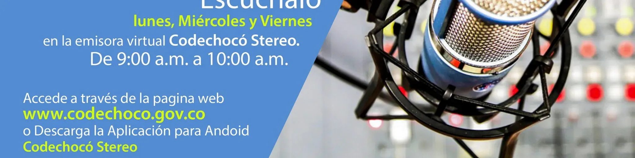 Codechoco Stereo