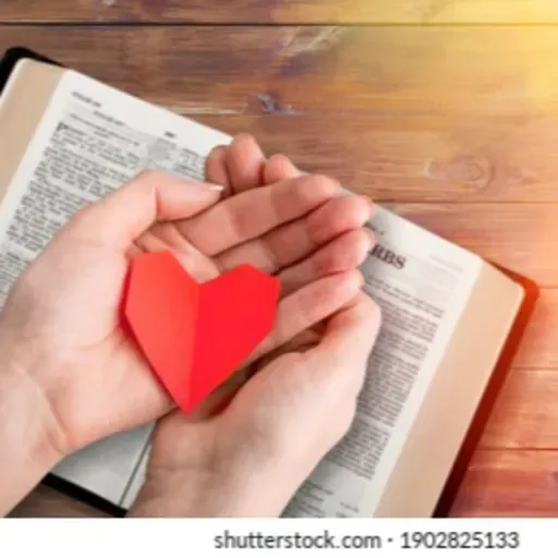 Para rezar o Evangelho do 6º Domingo do Tempo Comum