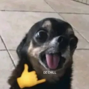 Tu Zona T