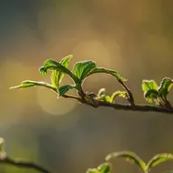 EVANGELHO E FAMÍLIA