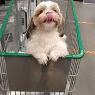 Deixe a Gira girar...