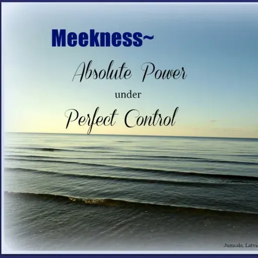 The Virtue of Meekness