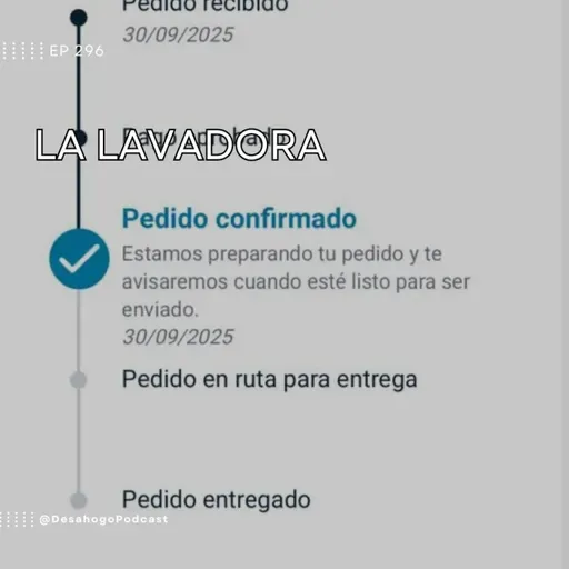296.- La Lavadora