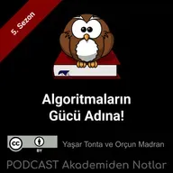 Akademiden Notlar 142: Algoritmaların Gücü Adına!