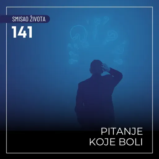 141 SŽ - Pitanje koje boli