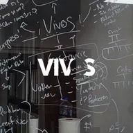 VIVO #22 - | La Guadalupana, Celebraciones y Tradiciones, Basílica de Guadalupe: Fe y Resiliencia
