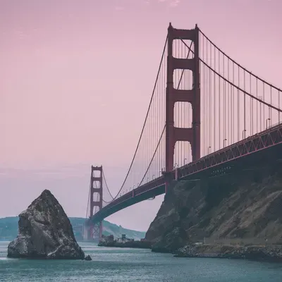 California punk etudes #110