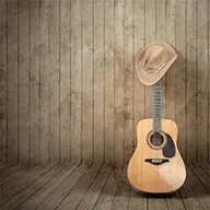 101 - FOLK ROCK