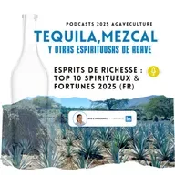 Esprits de Richesse : Top 10 Spiritueux & Fortunes 2025