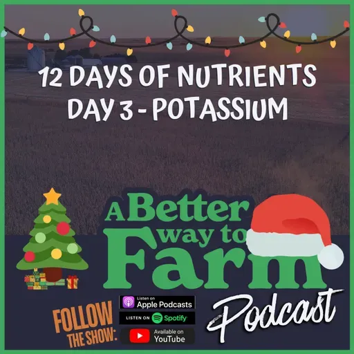 12 Days of Nutrients - Day 3: Potassium