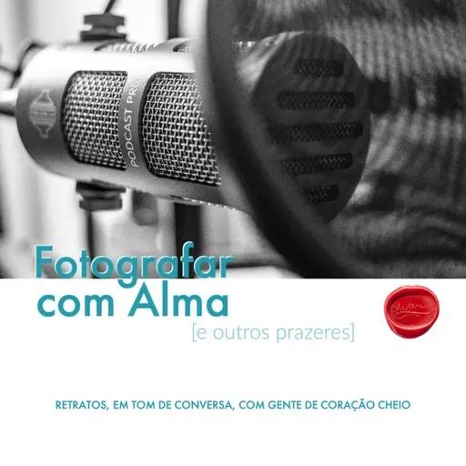 Teias de aranha