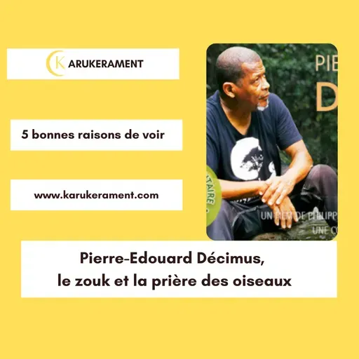 5 bonnes raisons de voir "Pierre-Edouard Décimus, le zouk et la prière des oiseaux"