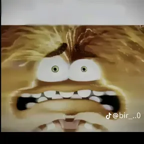 Zzz__________