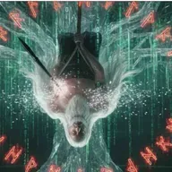 David Block on the Hanged God Matrix