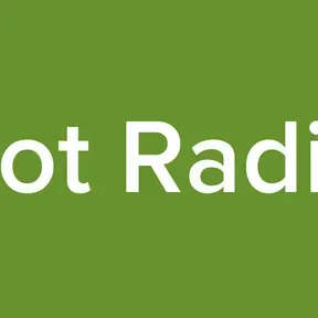 Bot Radio