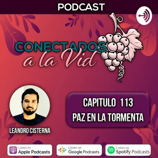 113 - Paz en la tormenta