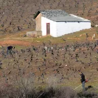 Bierzo 2025 - El año del alquimista
