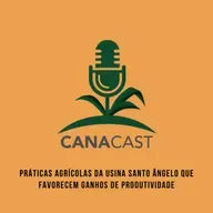PRÁTICAS AGRÍCOLAS DA USINA SANTO ÂNGELO QUE FAVORECEM GANHOS DE PRODUTIVIDADE