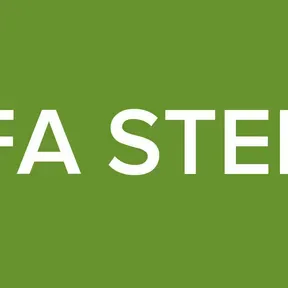 IESFA STEREO