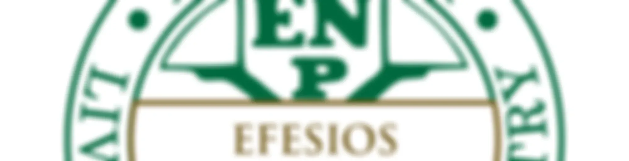 Estudio-vida de Efesios con Witness Lee