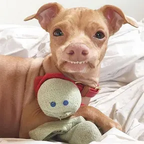 Brunosouza123