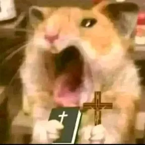 Alejandro