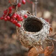 Cuando se van los hijos: el Síndrome del nido vacío