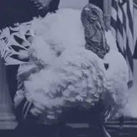 How To Avoid Talking About Politics This Thanksgiving