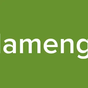 Flamengo