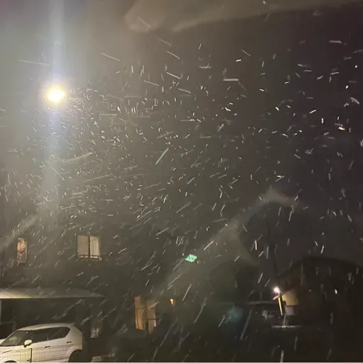 朝ラン0℃。世界で最もパワフルな女性100人の好みと好きな女性タレントベストテン第14回。#1710 from Radiotalk