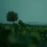 #408. Adar 2026: 44 Destekçî - 330 Dolar