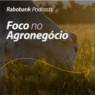 Perspectivas 2026 | Pecuária de Corte