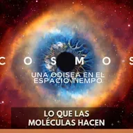 Cosmos: Una Odisea en el Espacio Tiempo - Lo que las Moléculas Hacen
