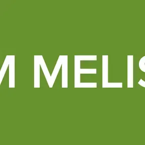 RM MELISA