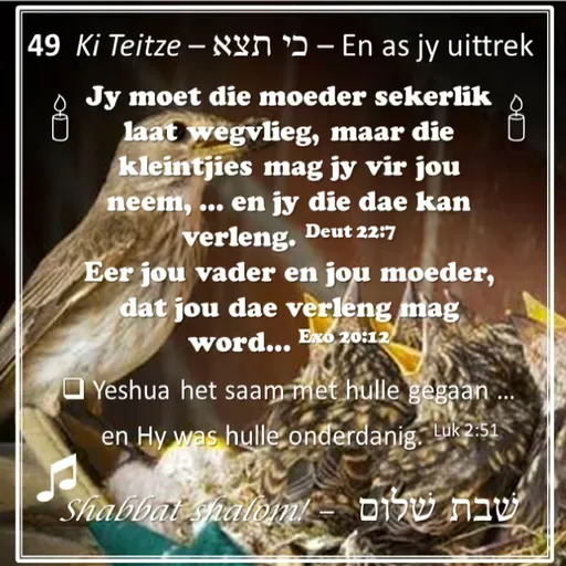 Parashat Ki tetze