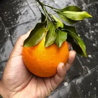 Meditación: Abundancia de lo Simple