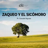 Zaqueo y el Sicómoro