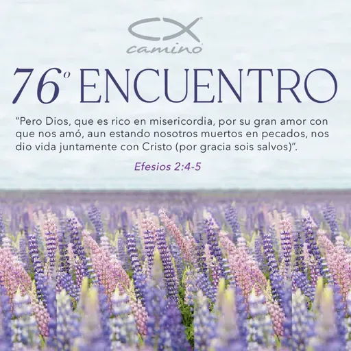 Oración 17 de noviembre (76 Encuentro)