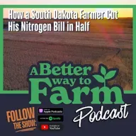 348: How a South Dakota Farmer Cut His Nitrogen Bill in Half