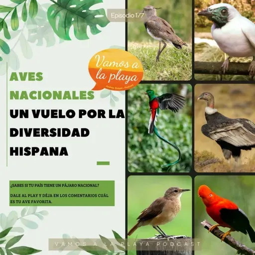 177. 🕊️Aves Nacionales: Un vuelo por la diversidad hispana 🐦‍⬛