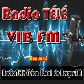 RadioTeleVIBFM