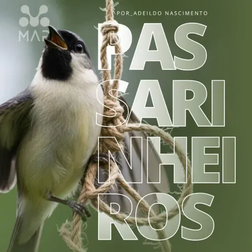 SALMO 91: O perigo dos INFLUENCIADORES e a armadilha do Passarinheiro Moderno (Adeildo Nascimento)