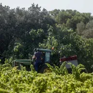 Economía en Andaluz 31 de diciembre de 2025