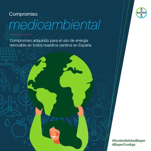 Día Mundial del Medio Ambiente: el uso de energías renovables para avanzar hacia un modelo energético limpio, eficiente