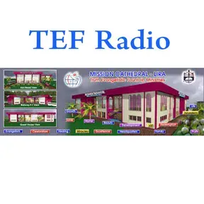 TEF Radio fm