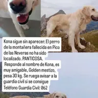 Se busca a Kona, el perro de la montañera navarra que falleció en Panticosa