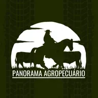 Panorama Agropecuário | 08.03.25