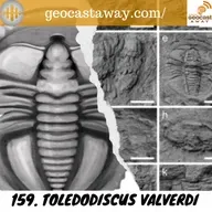 159. Toledodiscus valverdi