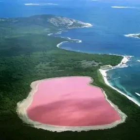 Duzinho